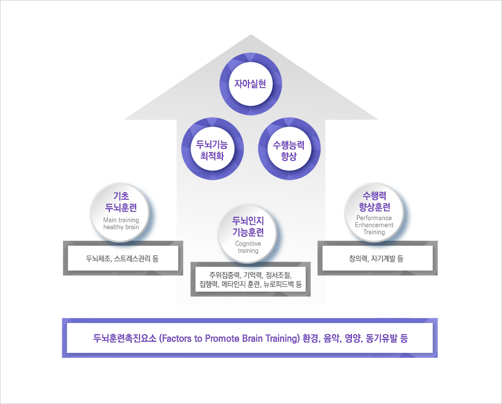 브레인트레이닝 체계 자아실현 두뇌기능최적화 수행능력향상 기초두뇌훈련(두뇌체조,스트레스관리 등) 두뇌인지기능훈련(주위집중력,기억력,정서조절,집행력,메타인지 훈련,뉴로피드백 등) 수행력향상훈(창의력,자기계발 등) 두뇌훈련촉진요소 환경,음악,영양,동기유발 등