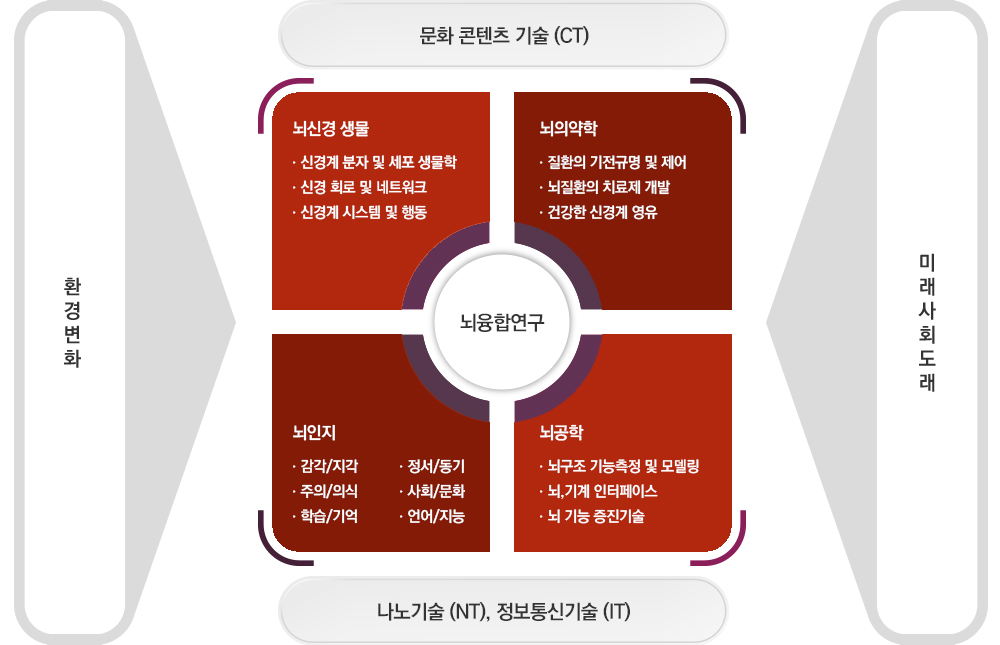 환경변화 문화콘텐츠 기술(CT) 뇌신경생물 신경계 분자 및 세포 생물학, 신경 회로 및 네트워크, 신경계 시스템 및 행동 뇌의약학 질환의 기전규명 및 제어, 뇌질환의 치료제 개발, 건강한 신경게 영유 뇌융합연구 뇌인지 감각/지각, 주의/의식, 학습/기억, 정서/동기, 사회/문화, 언어/지능 뇌공학 뇌구조 기능측정 및 모델링, 뇌,기계 인터페이스, 뇌 기능 증진기술 나노기술(NT), 정보통신기술(IT) 미래사회도래